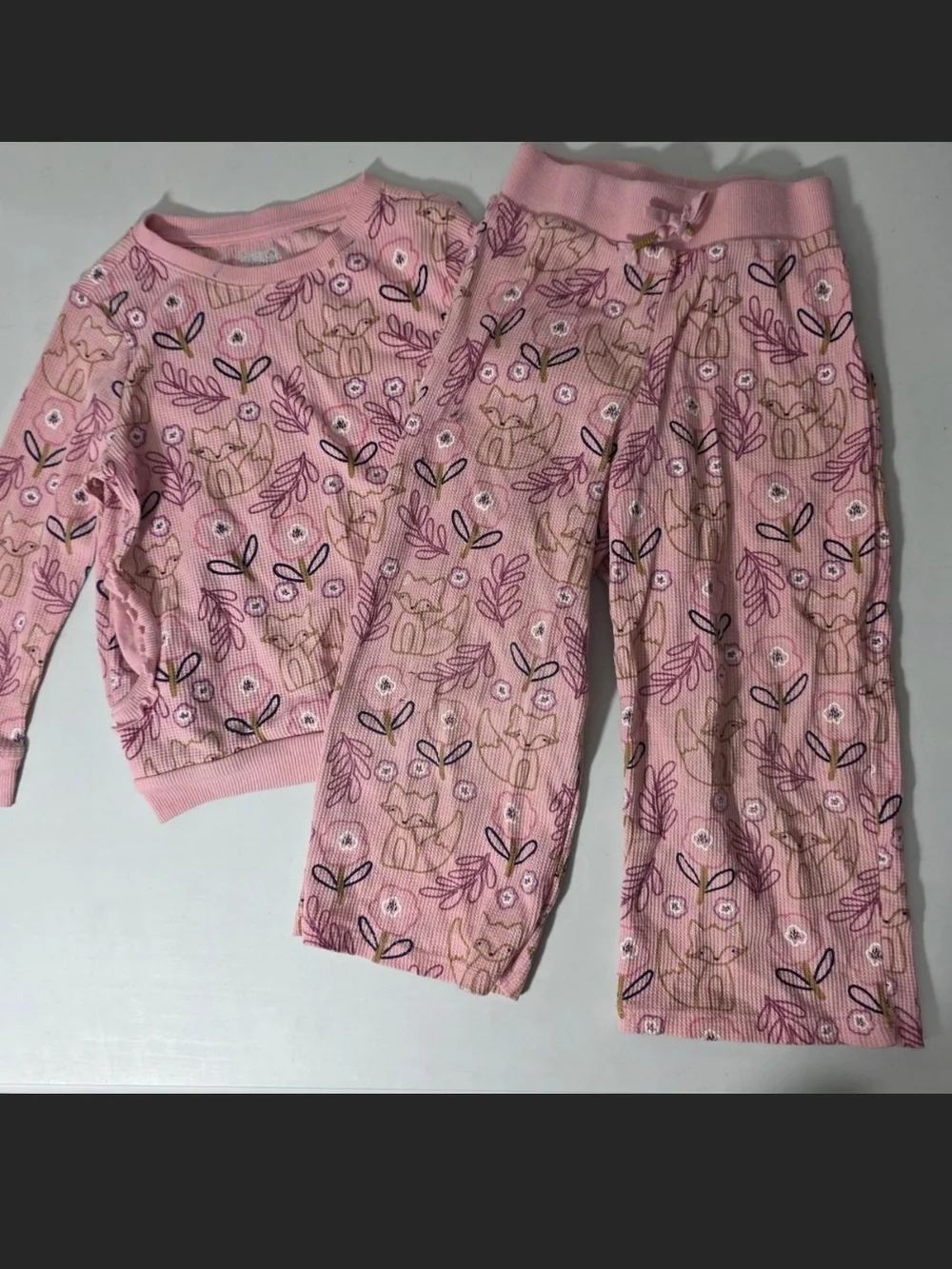 Garanimals Pink Fox & Floral Two-Piece Set